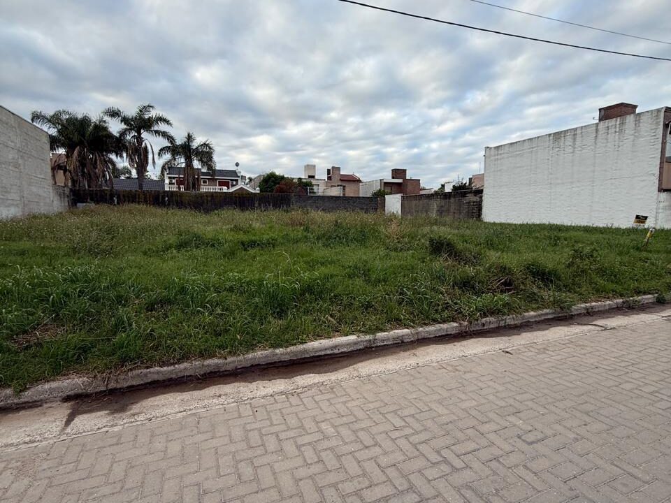 WhatsApp Image 2025-10-29 at 9.07.11 AM