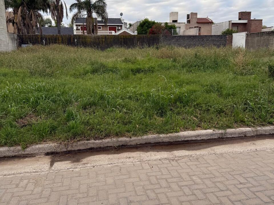 WhatsApp Image 2025-10-29 at 9.07.13 AM