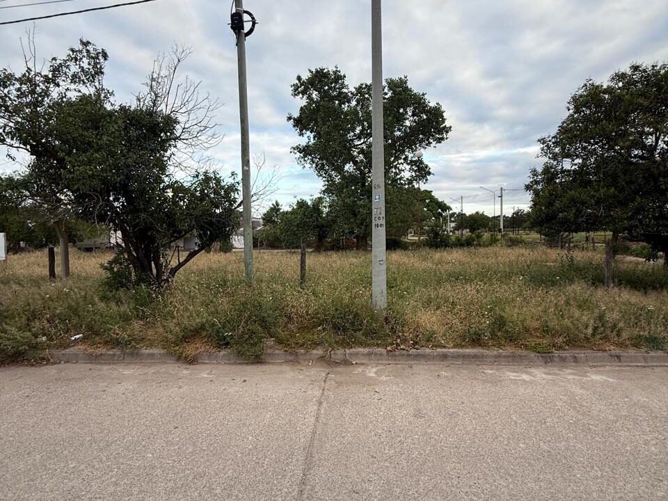 WhatsApp Image 2025-10-29 at 9.07.14 AM (1)