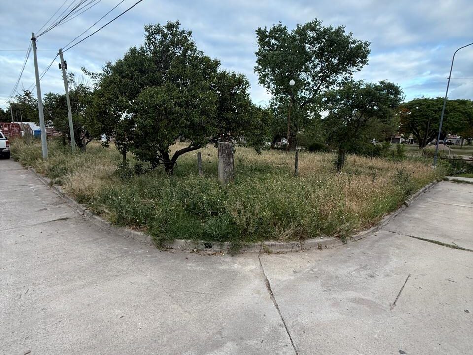 WhatsApp Image 2025-10-29 at 9.07.14 AM