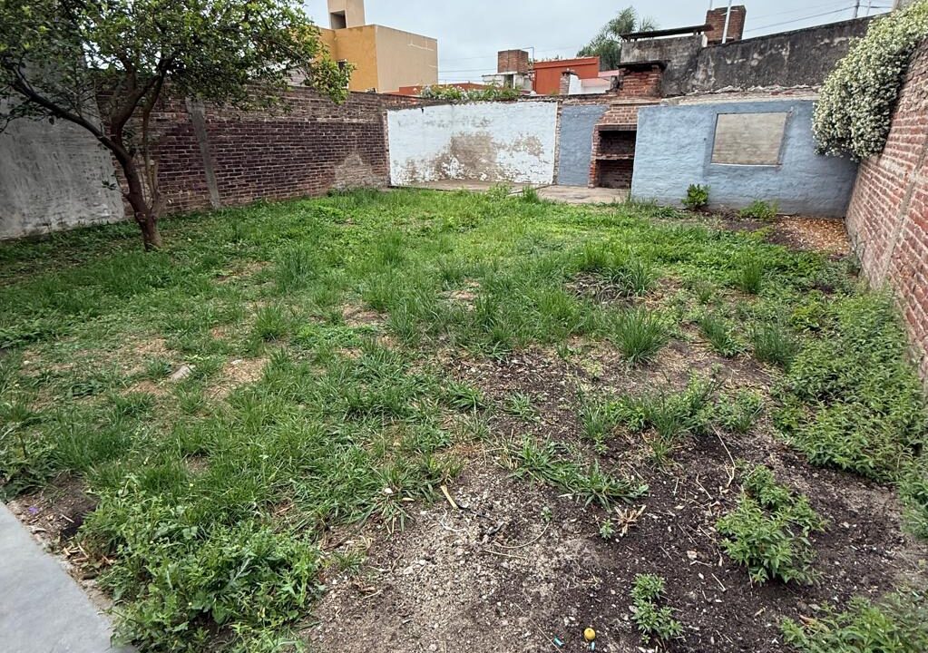 WhatsApp Image 2025-11-07 at 10.49.48 AM (9)